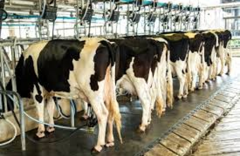 MP calls for help for dairy farmers struggling due to the Covid-19 pandemic