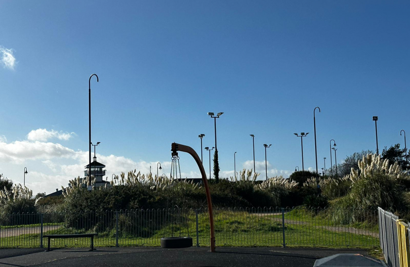 Children's play park with lampposts in background