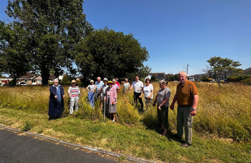 Rhuddlan residents up in arms after council stop cutting grass after 55 years  