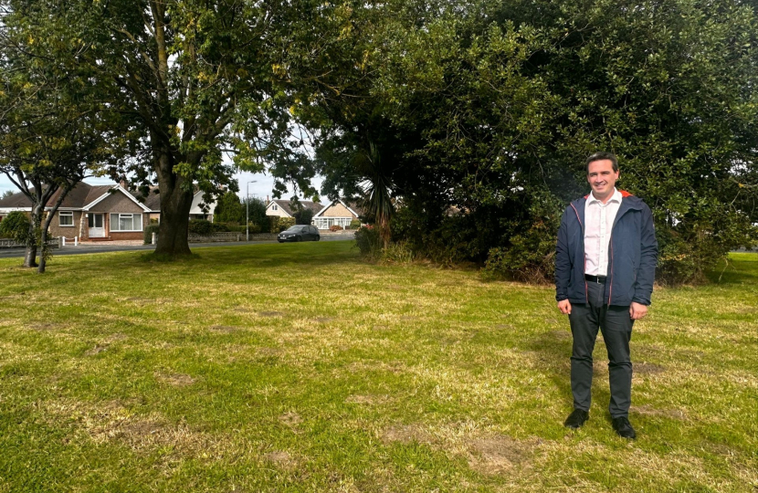Council urged to rethink its ‘wildflower meadow’ approach