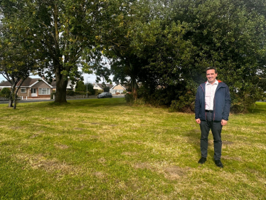 Council urged to rethink its ‘wildflower meadow’ approach