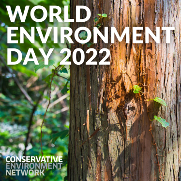 World Environment Day - MP backs Government's efforts to restore nature  